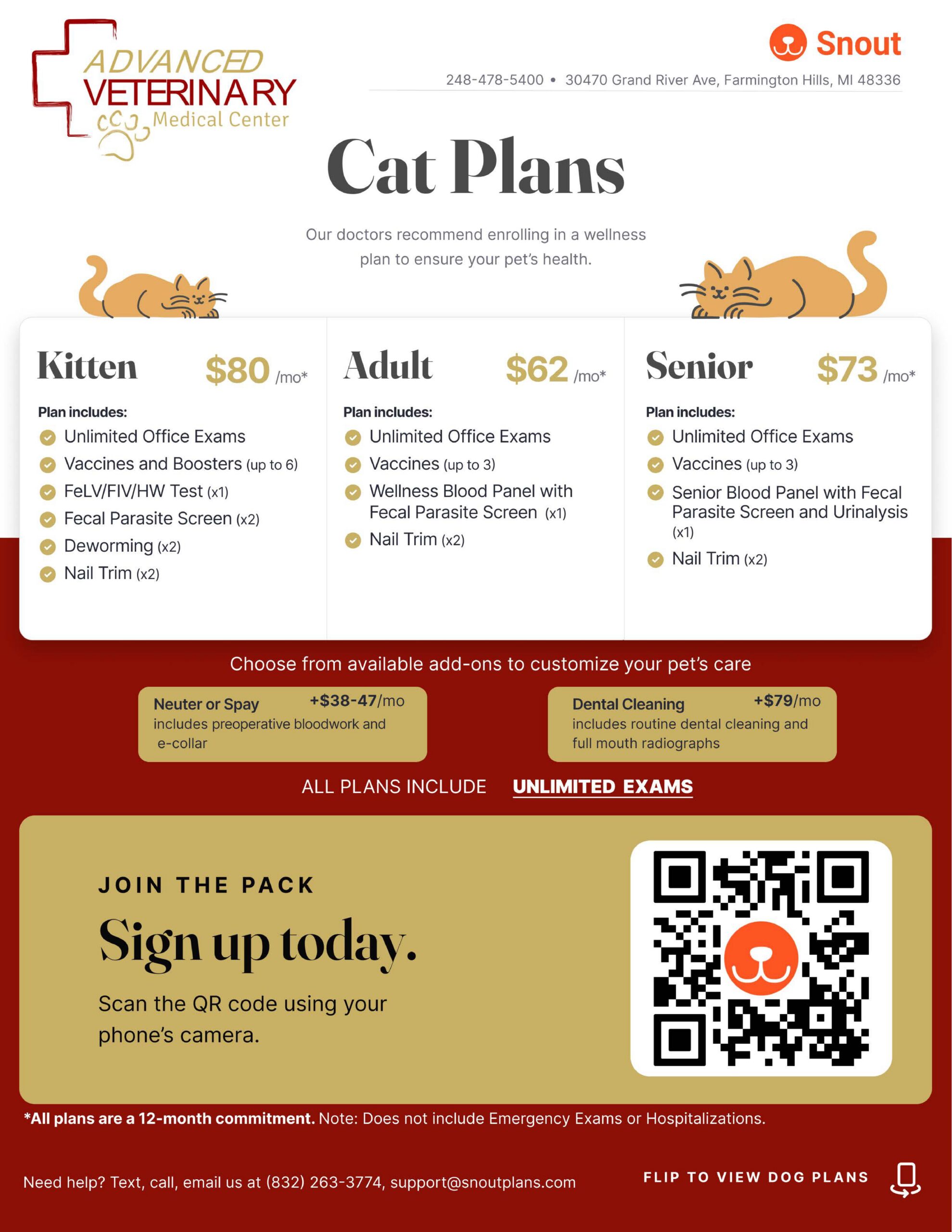 Cat plans graphics