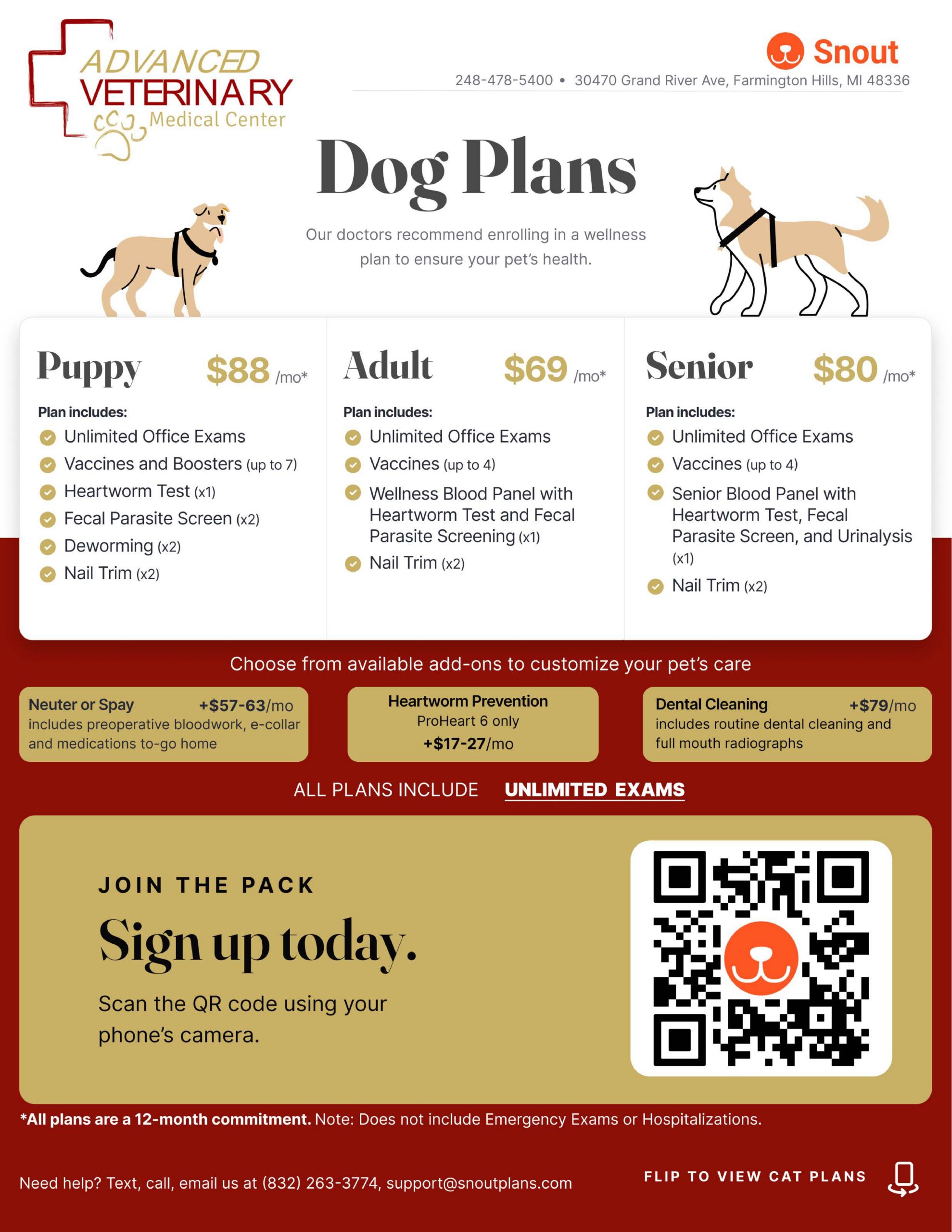 Dog plans graphics